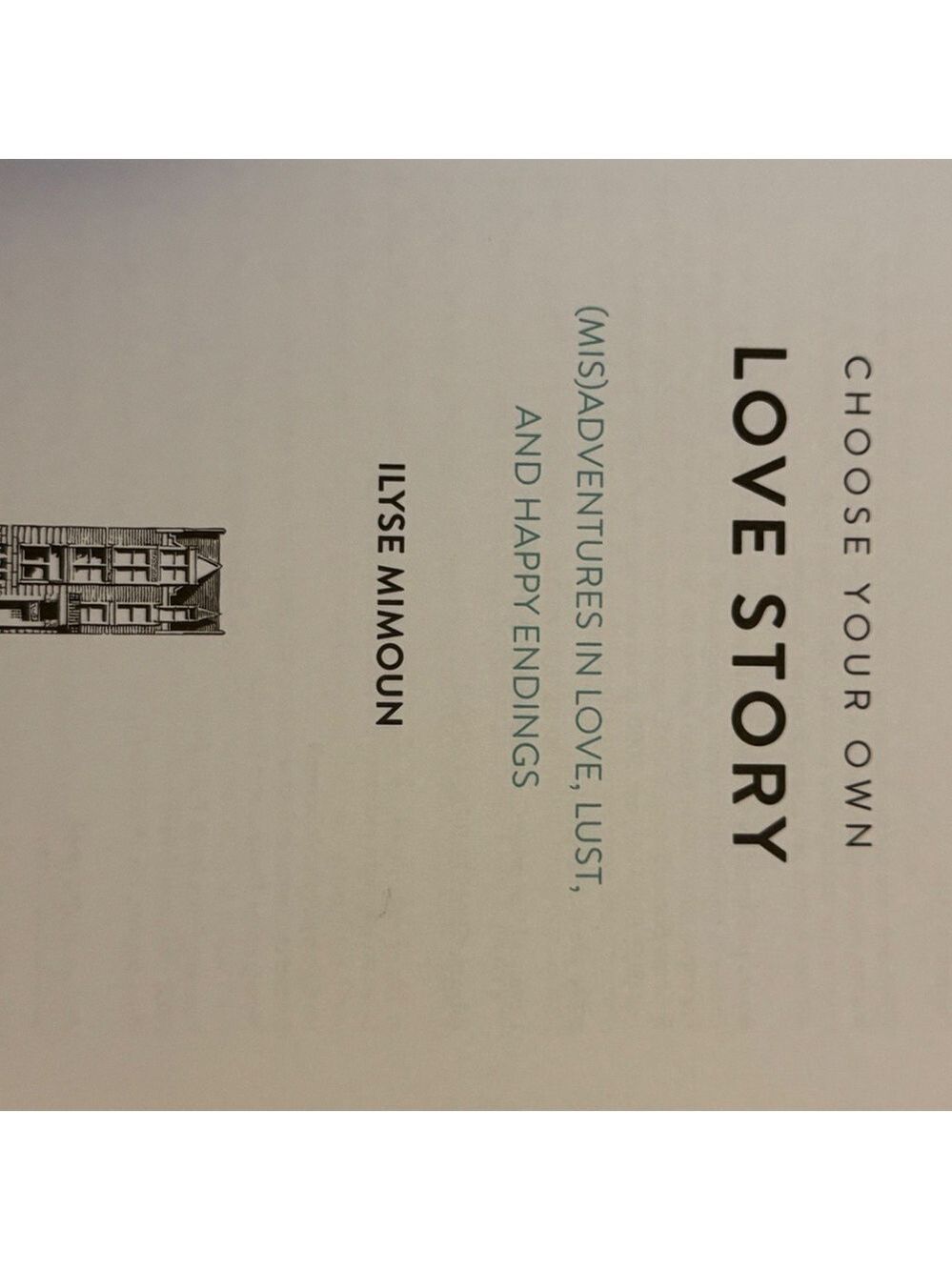 Choose Your Own Love Story by Ilyse Mimoun - Picture 7 of 7